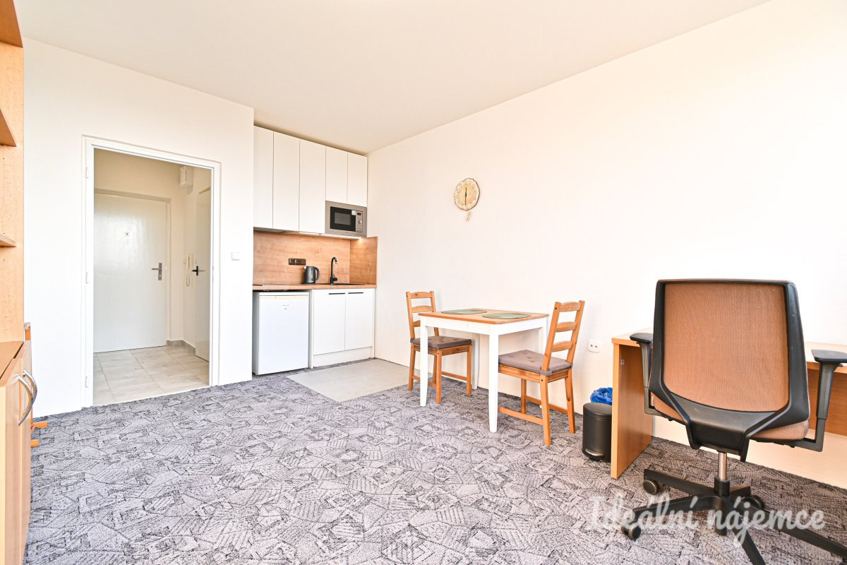 Pronájem bytu 1+kk, Halasovo náměstí, Lesná,  12.000 Kč/měs, 23 m2