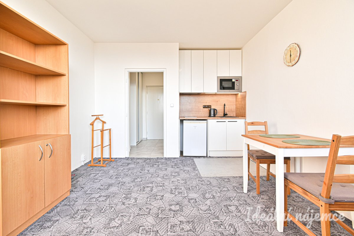 Pronájem bytu 1+kk, Halasovo náměstí, Lesná,  12.000 Kč/měs, 23 m2