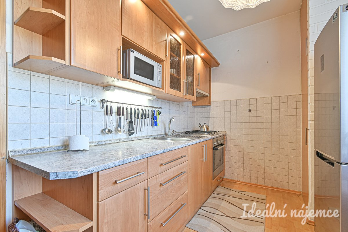 Pronájem bytu 2+1, Škroupova, Židenice, 18000 Kč/měs, 56 m2