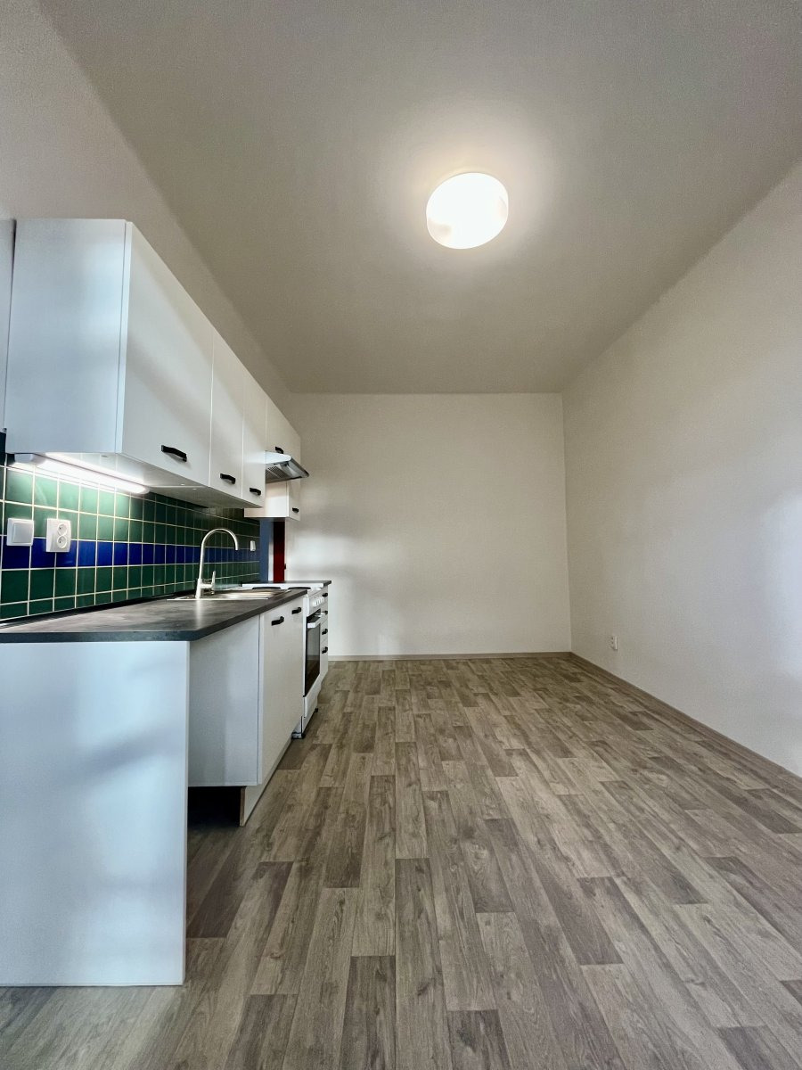 Pronájem bytu 1+1, Hájkova, Přívoz, 12900 Kč/měs, 50 m2