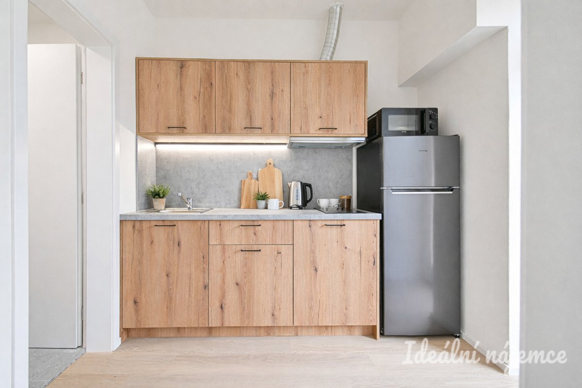 Pronájem bytu 1+1, Bubeníčkova, Židenice, 14 000 Kč/měs, 25 m2