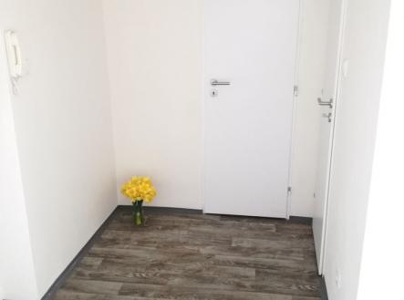 Pronájem bytu, 1+1, 39 m²