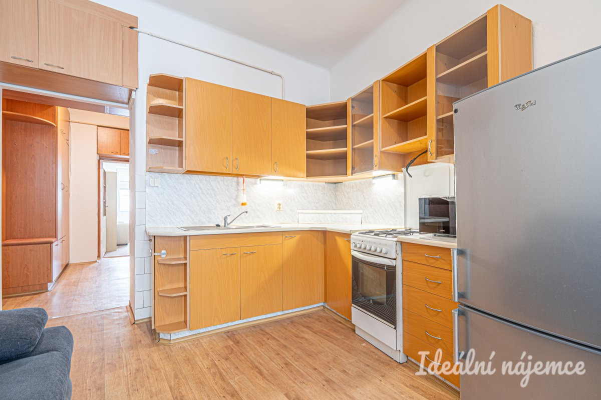 Pronájem bytu 1+1, Pekařská, Staré Brno, 48 m2