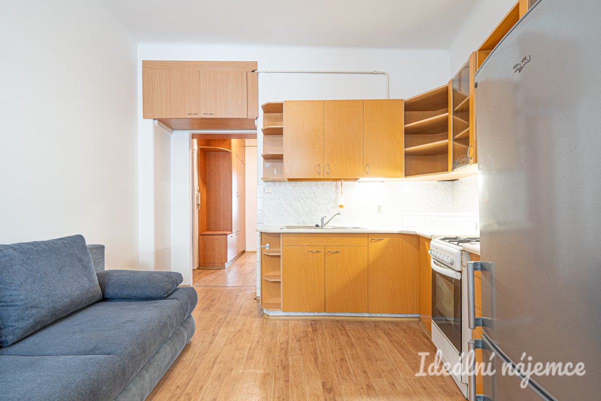 Pronájem bytu 1+1, Pekařská, Staré Brno, 48 m2