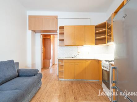 Pronájem bytu, 1+1, 48 m²