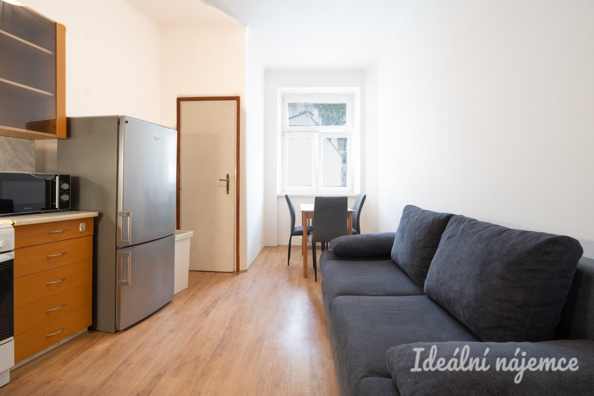 Pronájem bytu 1+1, Pekařská, Staré Brno, 48 m2