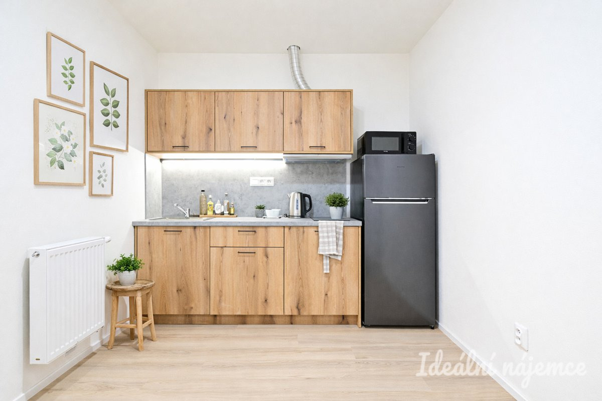 Pronájem bytu 2+kk, Bubeníčkova, Židenice, 15 500 Kč/měs, 35 m2