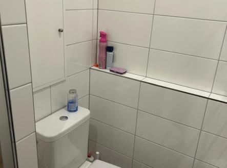 Pronájem bytu, 1+kk, 30 m²