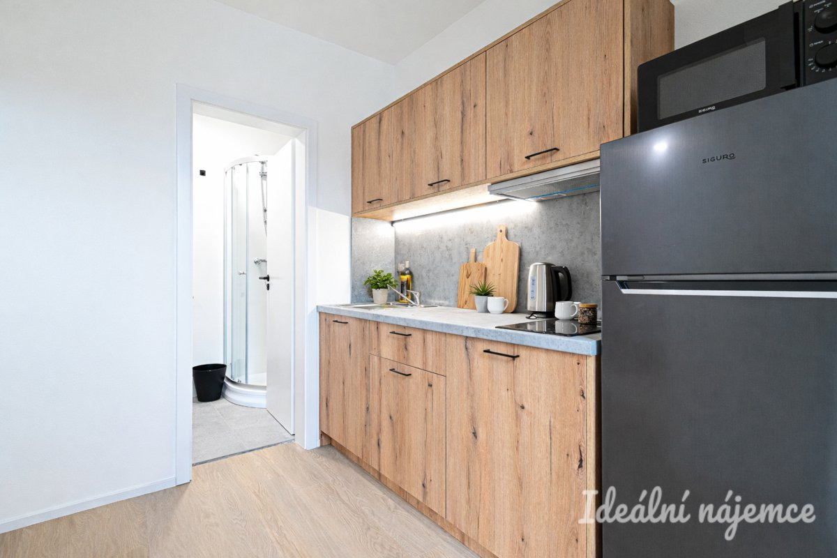 Pronájem bytu 1+1, Bubeníčkova, Židenice, 13 500 Kč/měs, 25 m2