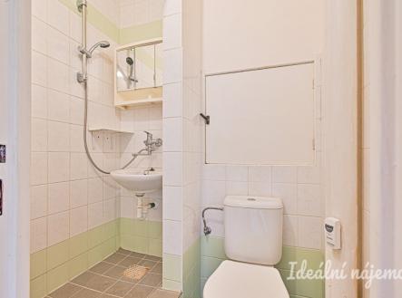 Pronájem bytu, 1+kk, 22 m²