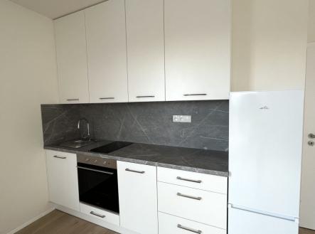 Pronájem bytu, 1+kk, 41 m²