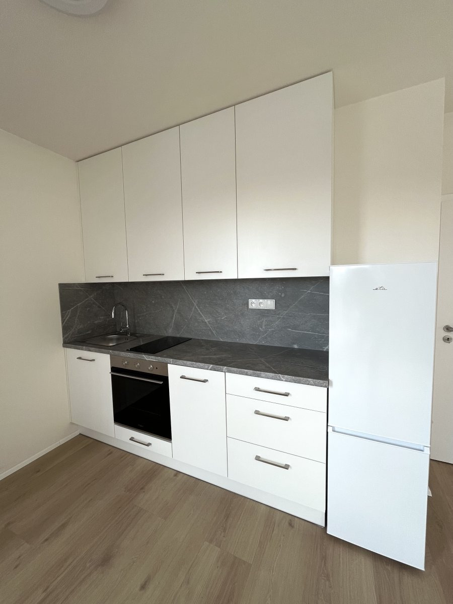 Pronájem bytu 1+kk, Dobrovodská, České Budějovice 5, 41 m2