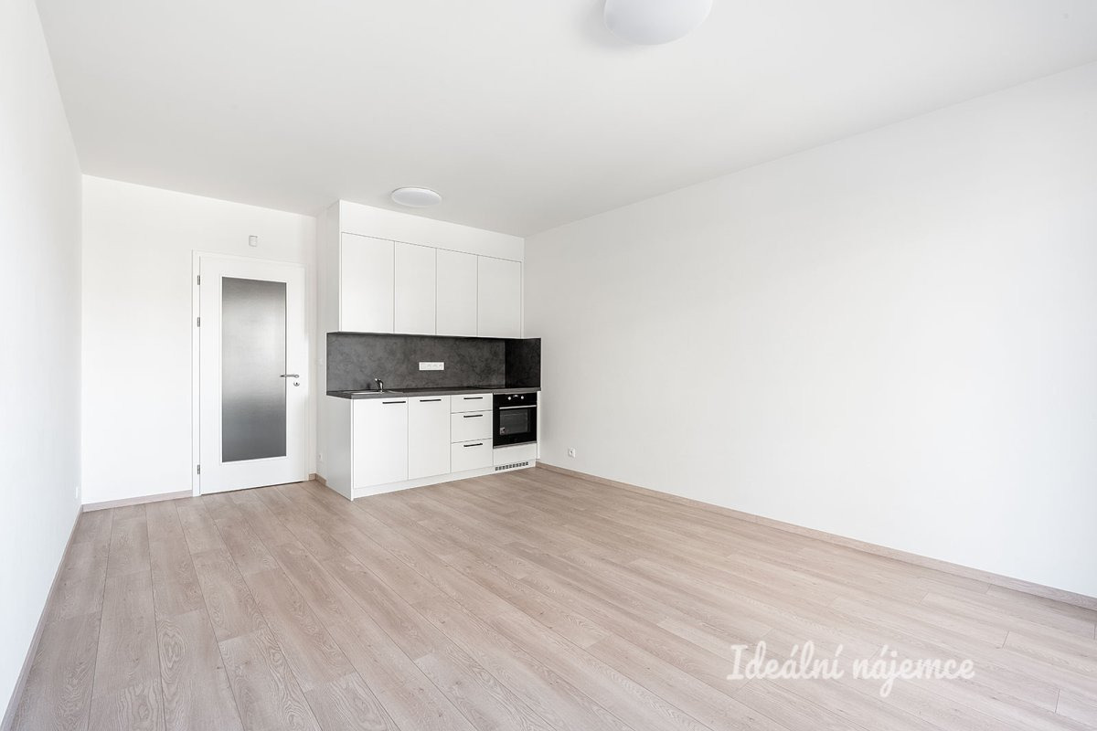 Pronájem bytu 1+kk, Gerstelova, Vysočany,  21900 Kč/měs, 33 m2