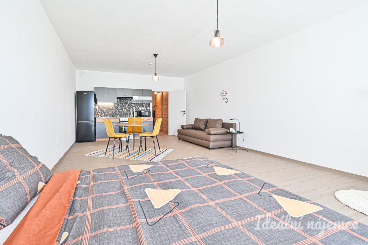 Pronájem bytu 1+kk, Faměrovo nám., Černovice, 16000 Kč/měs, 49 m2