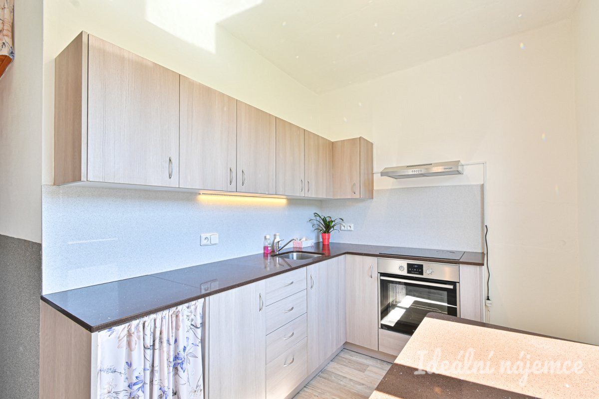 Prodej bytu 1+1 35 m² Nížkovice