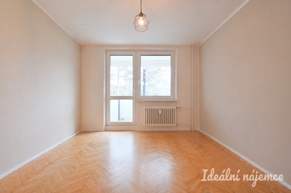 Pronájem bytu 1+kk, Opálkova, Bystrc, 13000 Kč/měs, 26 m2