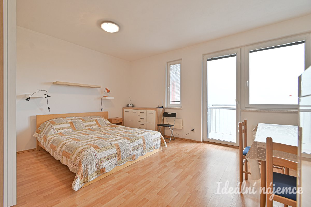 Podnájem bytu 1+kk, Francouzská, Zábrdovice,  14.000 Kč/měs, 30 m2