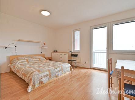 Pronájem bytu, 1+kk, 30 m²