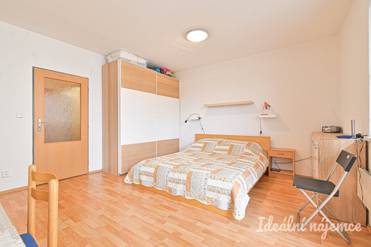 Podnájem bytu 1+kk, Francouzská, Zábrdovice,  14.000 Kč/měs, 30 m2