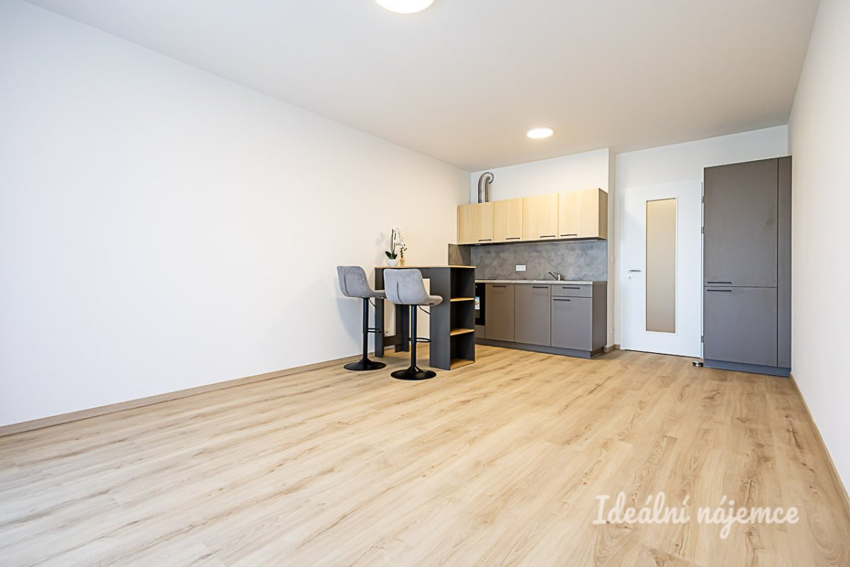 Pronájem bytu 1+kk, Poděbradská, Vysočany, 18500 Kč/měs, 35 m2