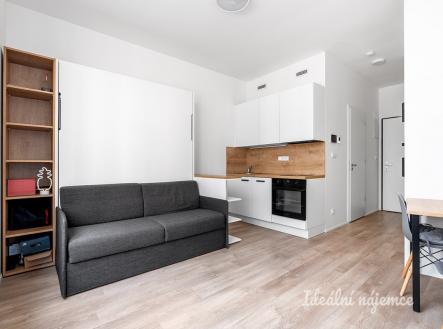 Pronájem bytu, 1+kk, 21 m²