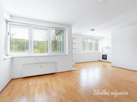 Pronájem bytu, 1+kk, 46 m²