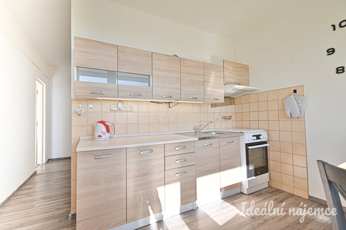 Pronájem bytu 2+1, Prokofjevova, Kohoutovice,  Kč/měs, 57 m2