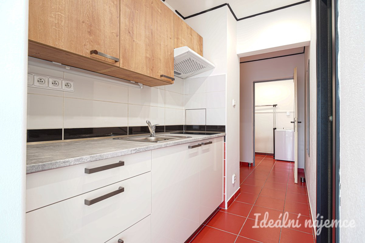 Pronájem bytu 1+1, Žitná, Řečkovice,  12.900 Kč/měs, 28 m2