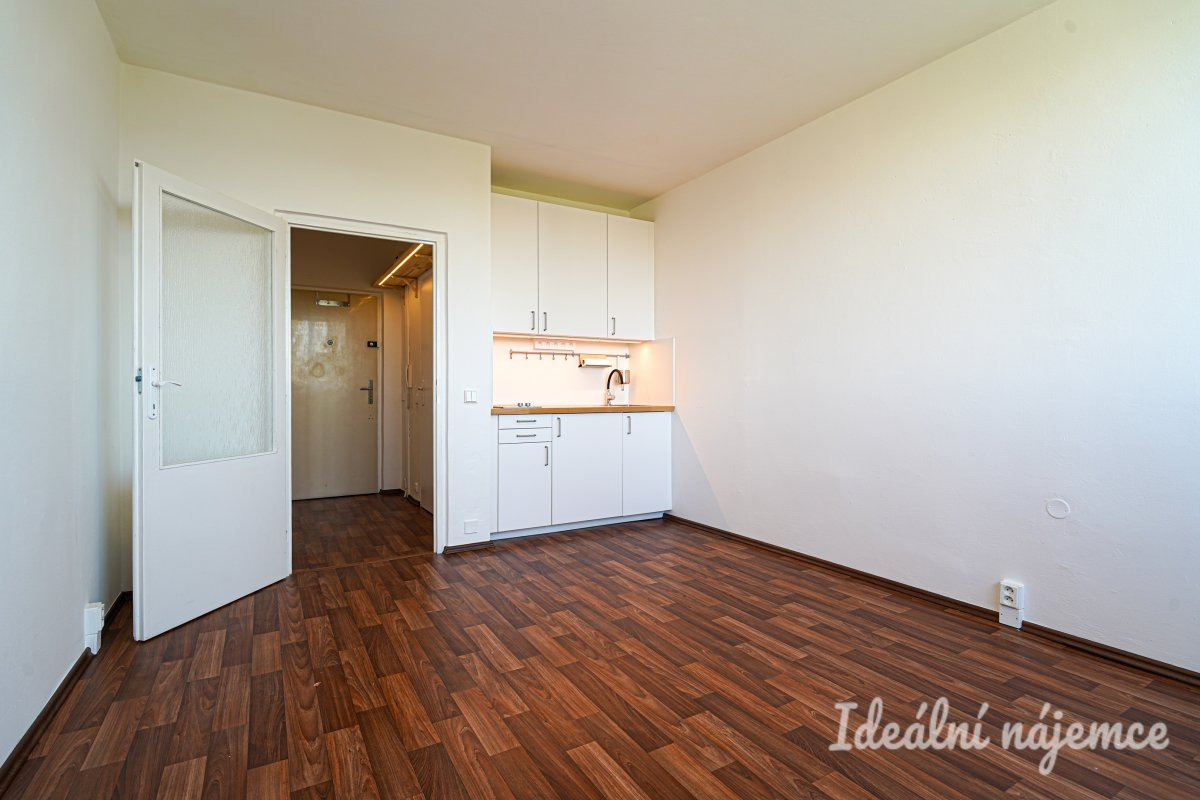 Pronájem bytu 1+kk, Halasovo náměstí, Lesná,  10.000 Kč/měs, 20 m2