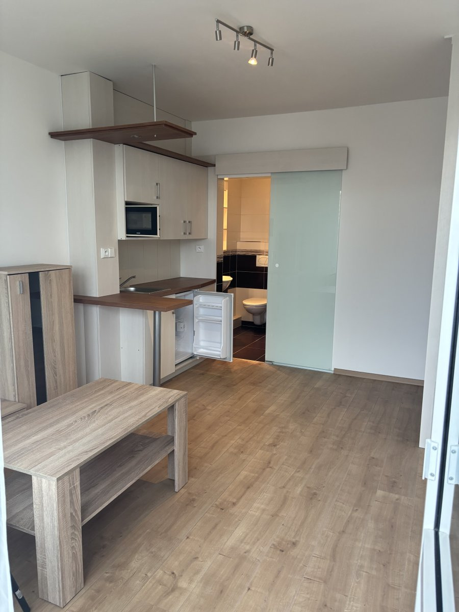 Pronájem bytu 1+kk, Brožíkova, Nový Hradec Králové, 12900 Kč/měs, 22 m2