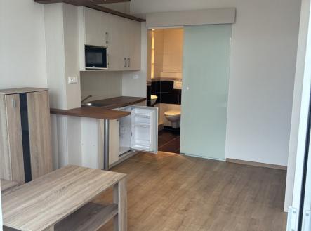 Pronájem bytu, 1+kk, 22 m² obrázek