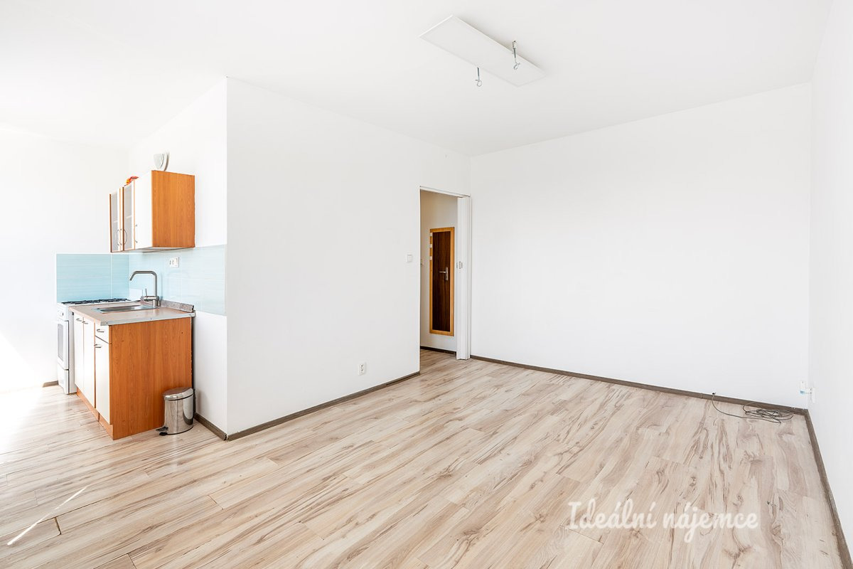 Pronájem bytu 1+kk, Vitry, Kročehlavy, 25 m2