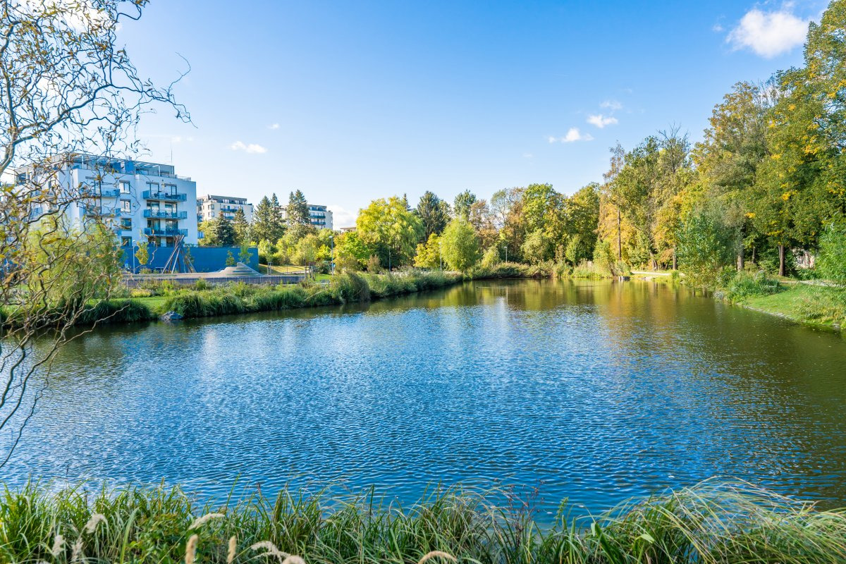 Pronájem bytu 1+kk, Poděbradská, Vysočany, 39 m2