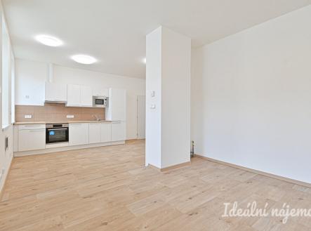Pronájem bytu, 1+kk, 45 m²