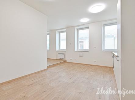 Pronájem bytu, 1+kk, 45 m²