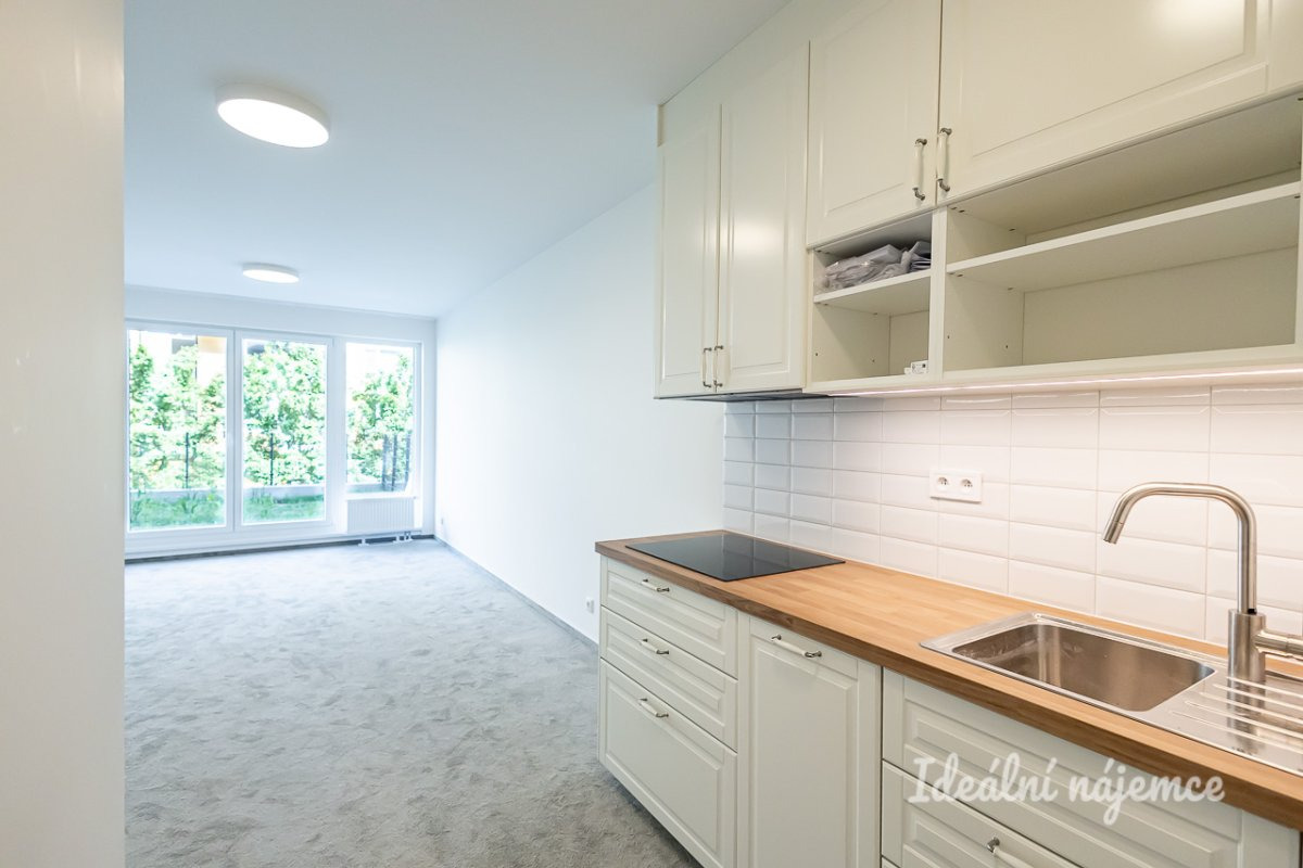 Pronájem bytu 2+kk, Gerstelova, Vysočany, 23900 Kč/měs, 52 m2