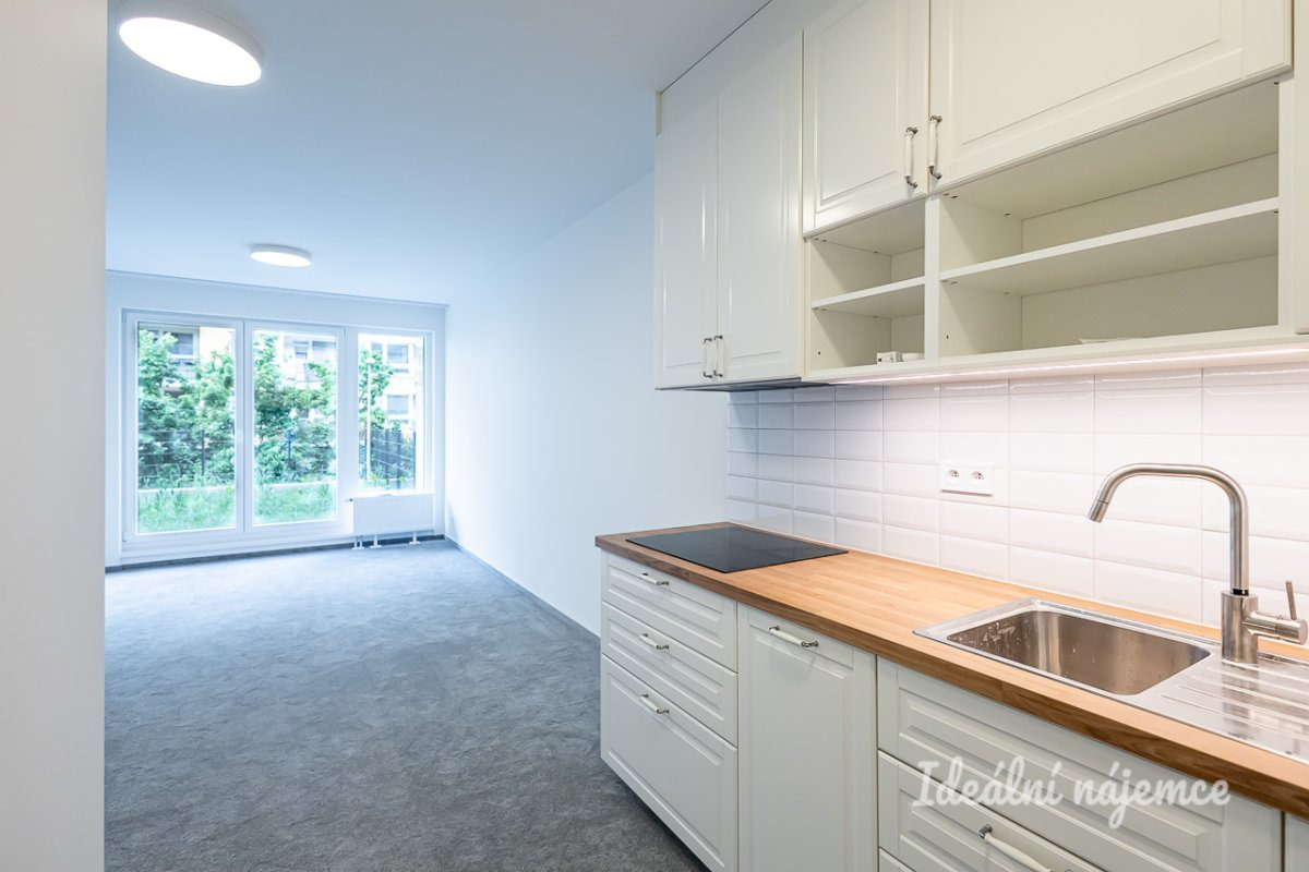 Pronájem bytu 2+kk, Gerstelova, Vysočany, 23900 Kč/měs, 52 m2