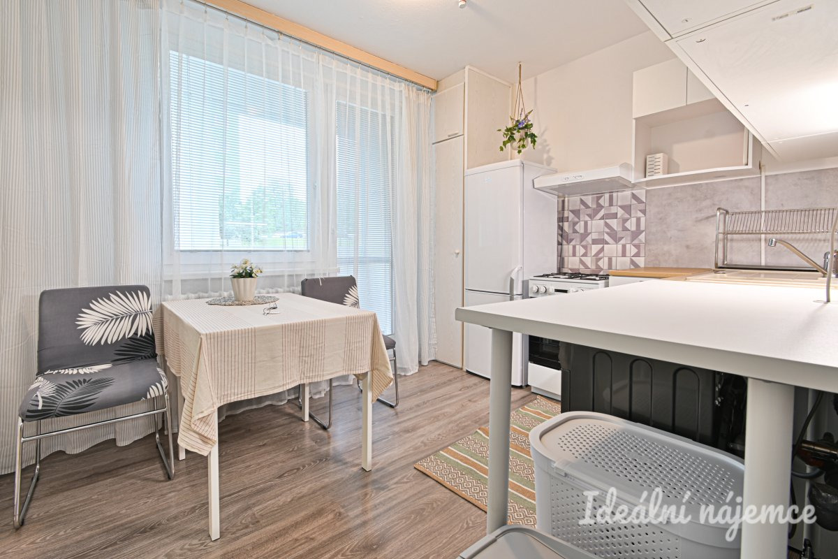 Pronájem bytu 1+1, Rerychova, Bystrc,  15.900 Kč/měs, 41 m2