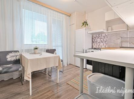 Pronájem bytu, 1+1, 41 m²