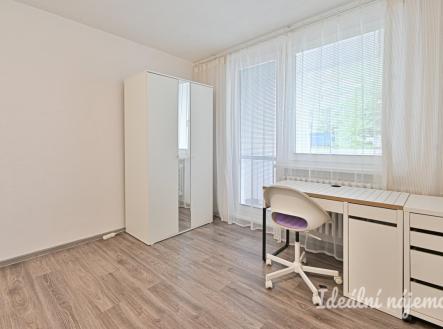 Pronájem bytu, 1+1, 41 m²
