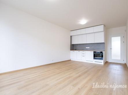 Pronájem bytu, 1+kk, 44 m²