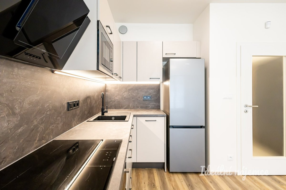 Pronájem bytu 1+kk, Gerstelova, Vysočany,  37 m2