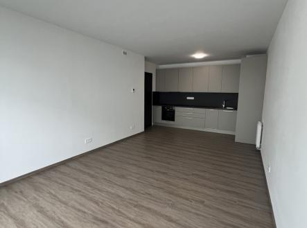 Pronájem bytu, 2+kk, 57 m²