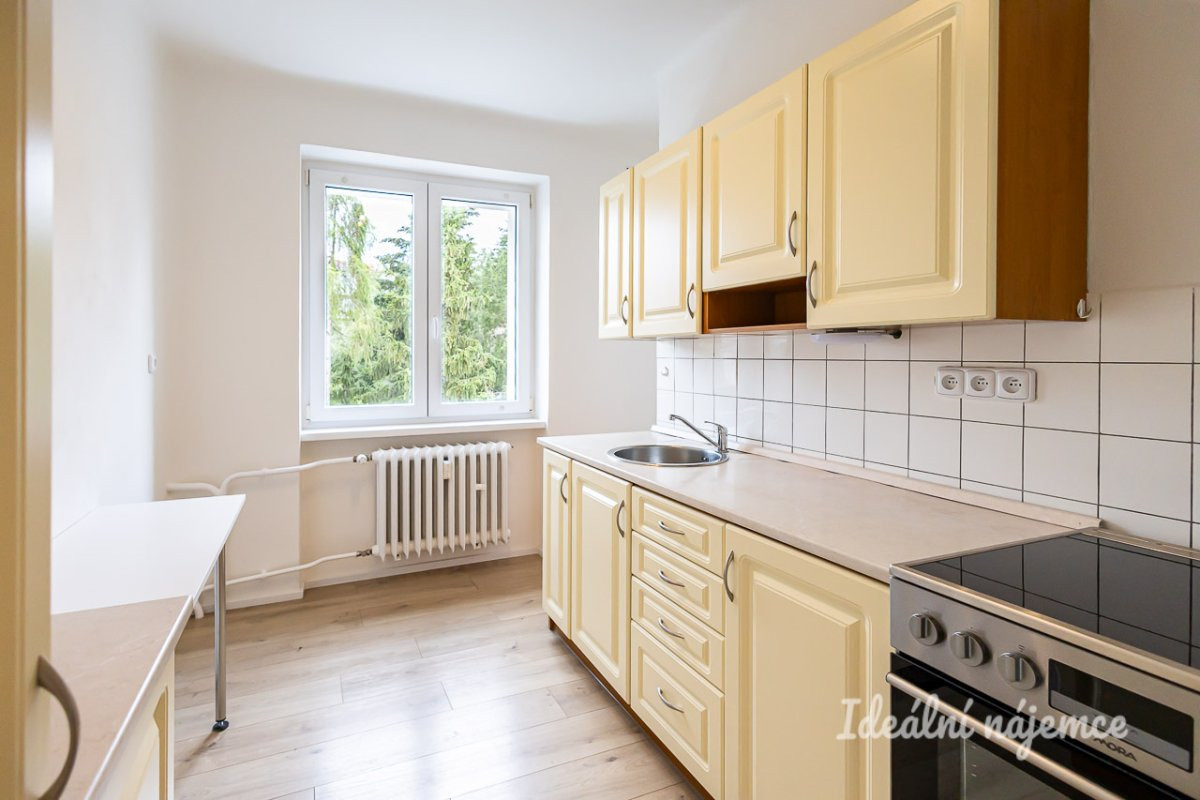 Pronájem bytu 2+1, Dvorecká, Podolí,   57 m2