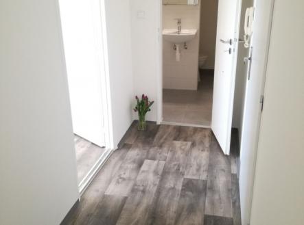 Pronájem bytu, 2+1, 44 m²