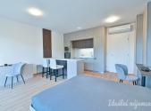 Pronájem bytu, 1+kk, 39 m²