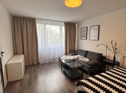 Pronájem bytu, 1+1, 37 m²