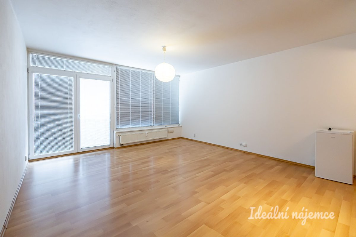 Pronájem bytu 1+kk, Skloněná, Vysočany, 44 m2