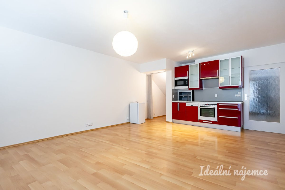 Pronájem bytu 1+kk, Skloněná, Vysočany, 44 m2