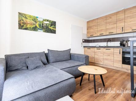 Pronájem bytu, 1+1, 33 m²